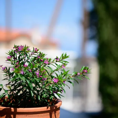 Agapi Deluxe 빌라 *