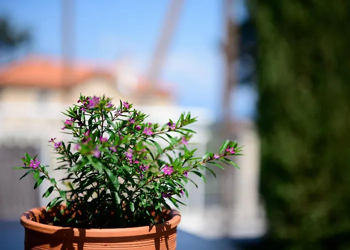 Agapi Deluxe Βίλα *